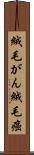 絨毛がん Scroll