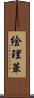 絵理華 Scroll