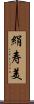 絹寿美 Scroll