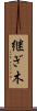 継ぎ木 Scroll
