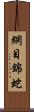 網目錦蛇 Scroll