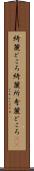 綺麗どころ Scroll
