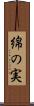 綿の実 Scroll