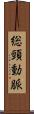 総頸動脈 Scroll