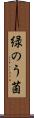 緑のう菌 Scroll