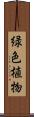 緑色植物 Scroll