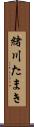 緒川たまき Scroll