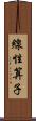 線性算子 Scroll