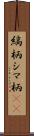 縞柄 Scroll