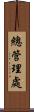 總管理處 Scroll