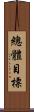 總體目標 Scroll