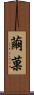 繭菓 Scroll