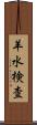 羊水検査 Scroll