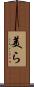 美ら Scroll