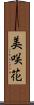 美咲花 Scroll