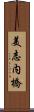 美志内橋 Scroll