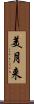 美月来 Scroll