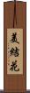 美結花 Scroll