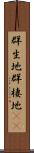 群生地 Scroll