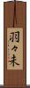 羽々未 Scroll