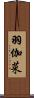 羽伽菜 Scroll