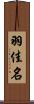 羽佳名 Scroll