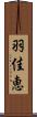 羽佳恵 Scroll
