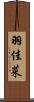羽佳菜 Scroll