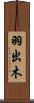 羽出木 Scroll