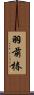 羽前椿 Scroll