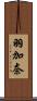 羽加奈 Scroll