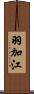 羽加江 Scroll
