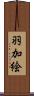 羽加絵 Scroll