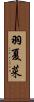 羽夏菜 Scroll