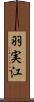 羽実江 Scroll