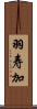 羽寿加 Scroll