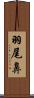 羽尾鼻 Scroll