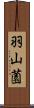 羽山薗 Scroll