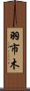 羽市木 Scroll