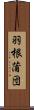 羽根蒲団 Scroll