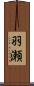 羽瀬 Scroll
