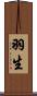 羽生 Scroll