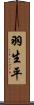 羽生平 Scroll