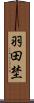 羽田埜 Scroll