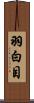 羽白目 Scroll