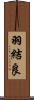 羽結良 Scroll
