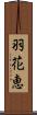 羽花恵 Scroll