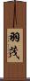 羽茂 Scroll