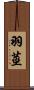 羽莖 Scroll