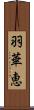 羽華恵 Scroll